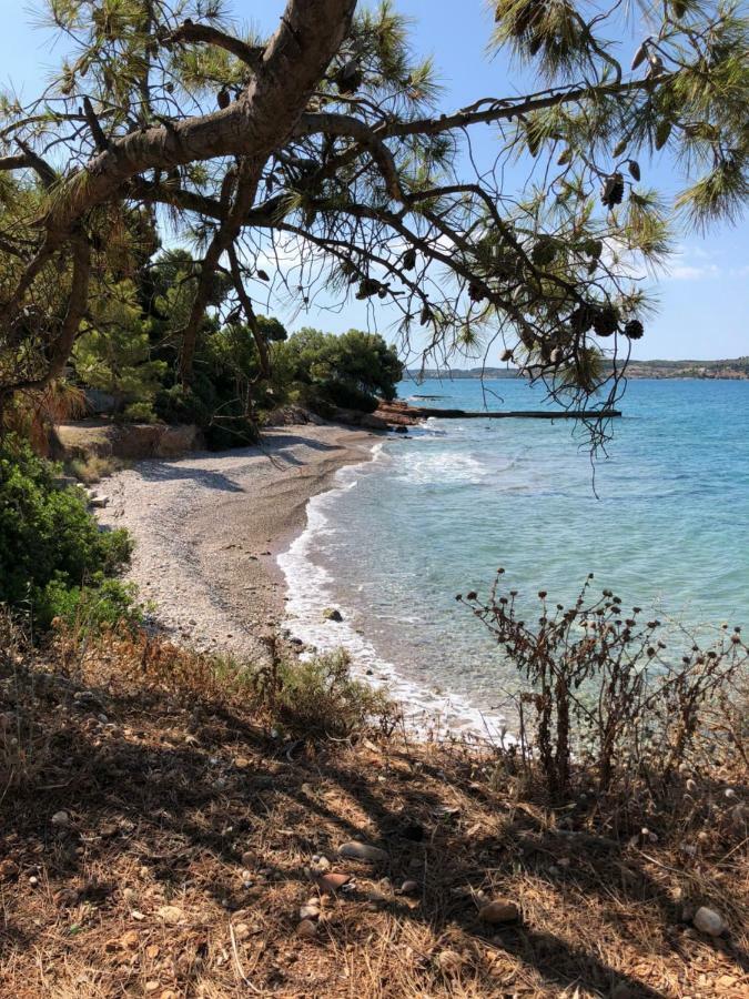 Villa Marina Porto Heli Ngoại thất bức ảnh